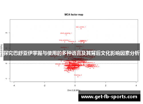 探究巴舒亚伊掌握与使用的多种语言及其背后文化影响因素分析
